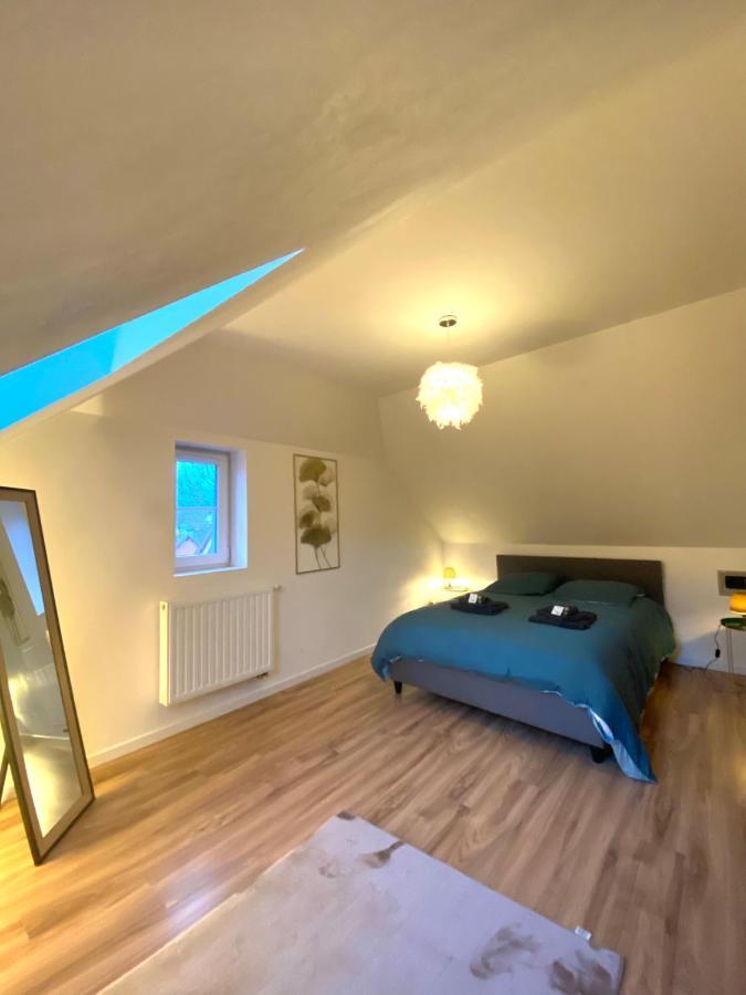 Apartamento Duplex Moderne A 10 Minutes De Colmar Wintzenheim Exterior foto
